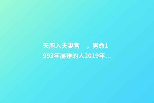 天廚入夫妻宮，男命1993年屬雞的人2019年運(yùn)程-第1張-觀點(diǎn)-玄機(jī)派